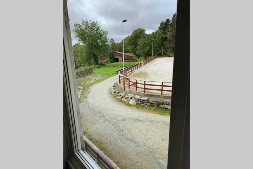 Moldegaard Riding Lodge Moldegard Zewnętrze zdjęcie